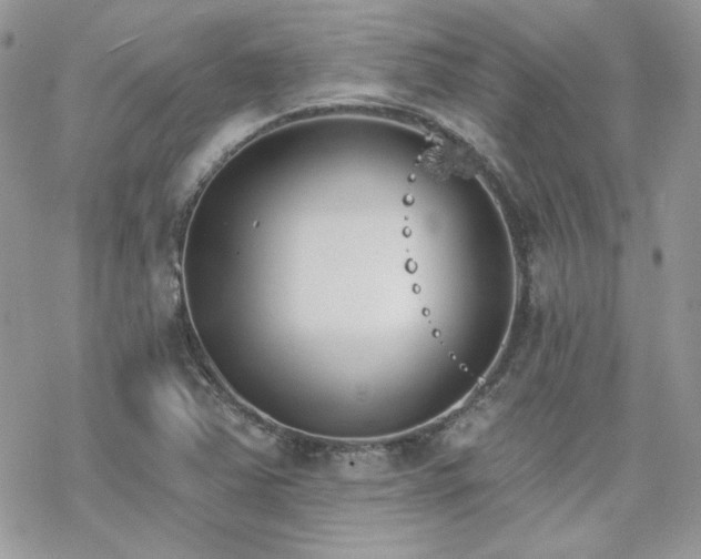 X0000070241363200606051114