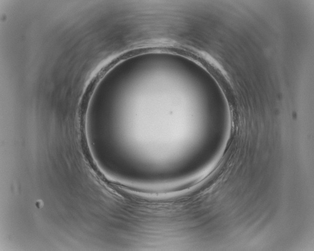 X0000070241364200606051114