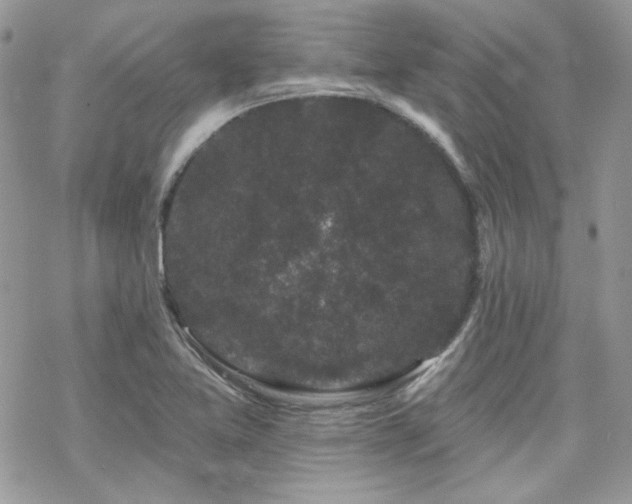 X0000070241365200606051114