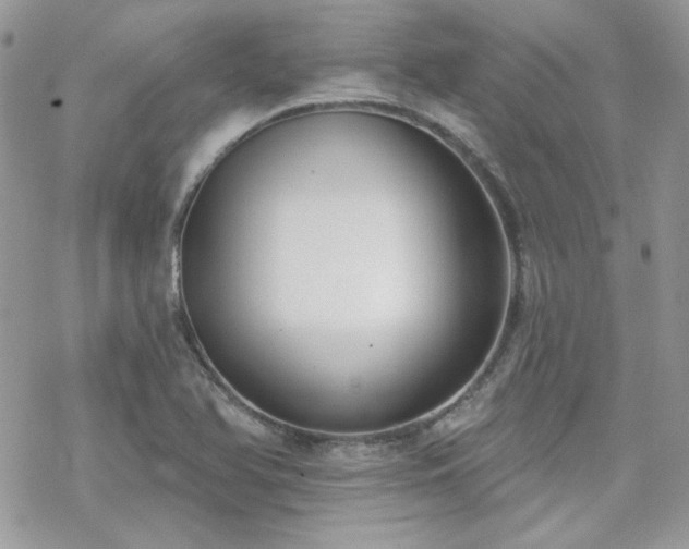 X0000070241366200606051114