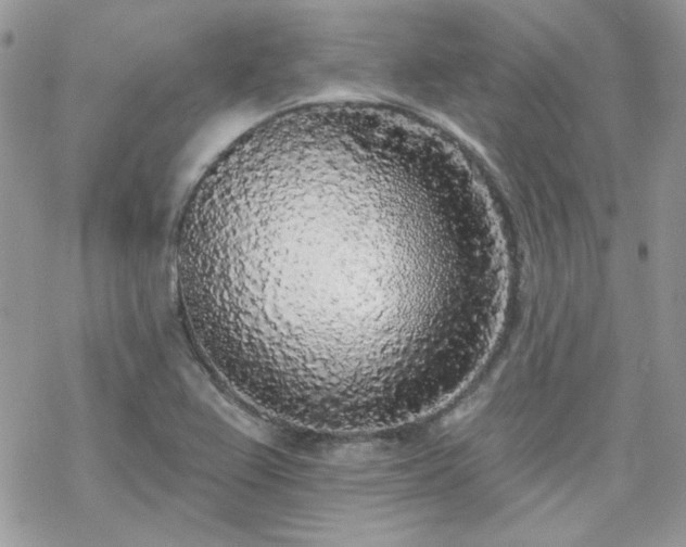 X0000070241367200606051114