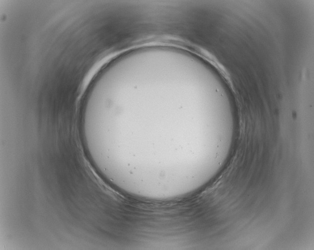 X0000070241368200606051114