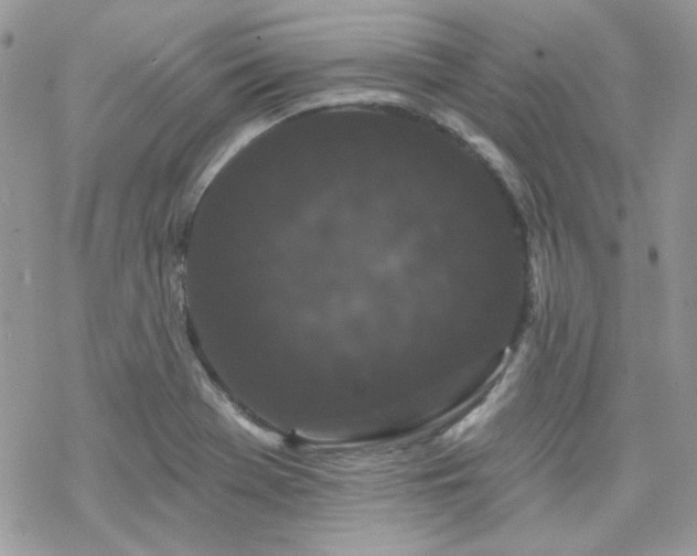 X0000070241369200606051114