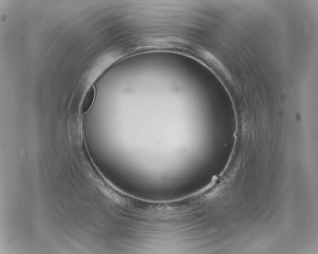 X0000070241370200606051114