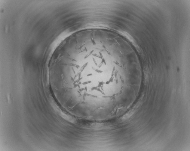 X0000070241371200606051114