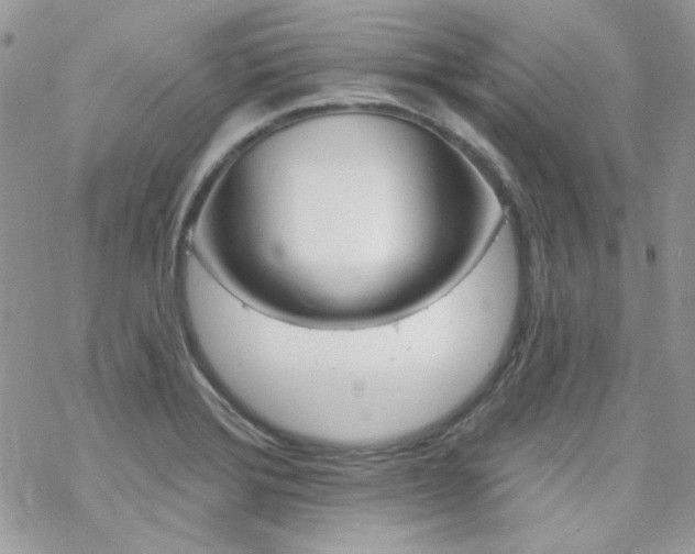 X0000070241372200606051114