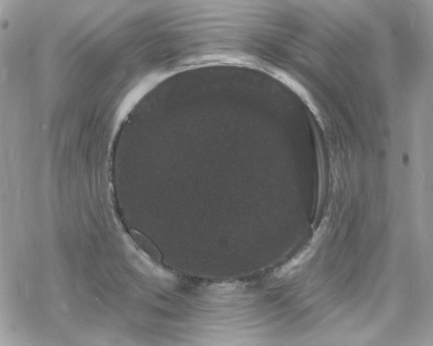 X0000070241373200606051114