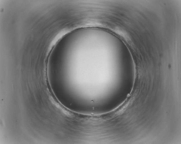 X0000070241374200606051114