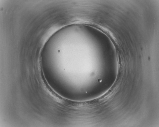 X0000070241375200606051114