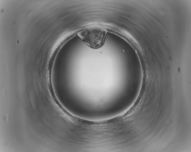 X0000070241376200606051114