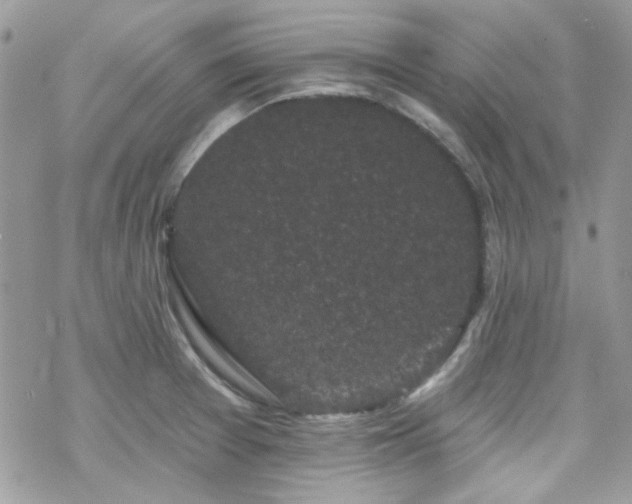 X0000070241377200606051114