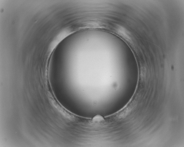 X0000070241378200606051114