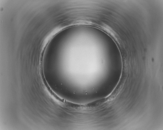 X0000070241379200606051114