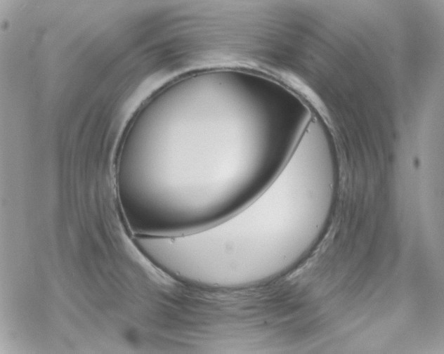 X0000070241380200606051114