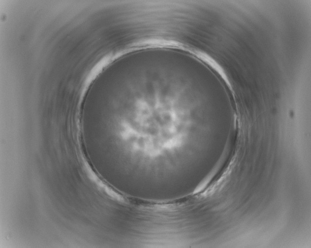 X0000070241381200606051114