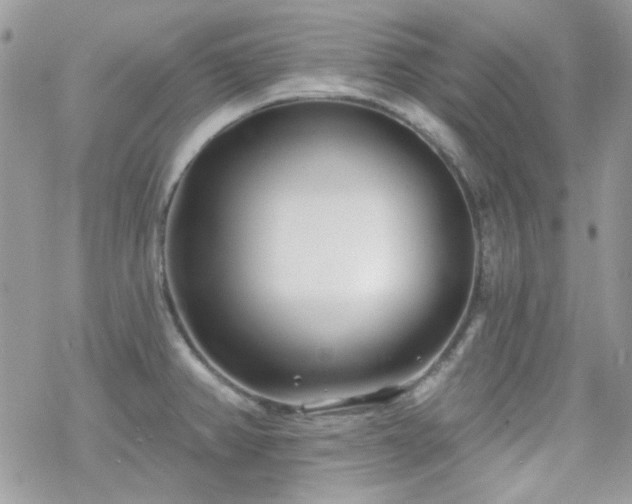 X0000070241382200606051114