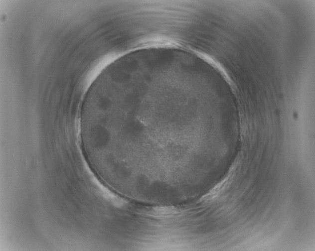 X0000070241383200606051114