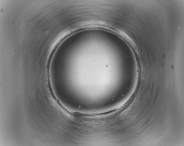 X0000070241384200606051114