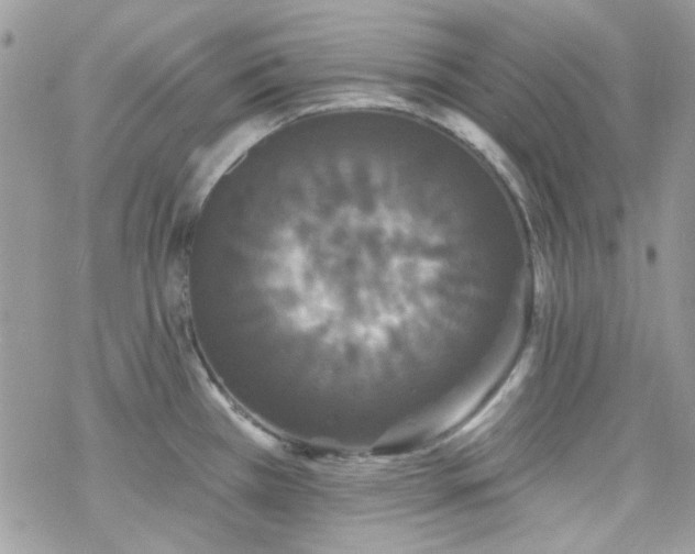 X0000070241385200606051114