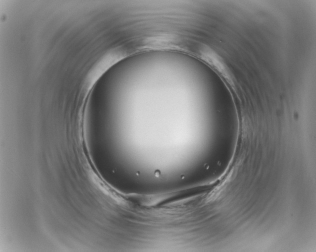 X0000070241386200606051114