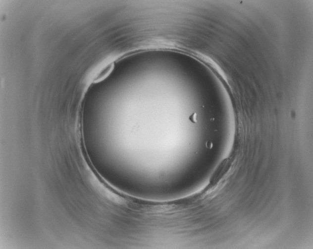 X0000070241387200606051114