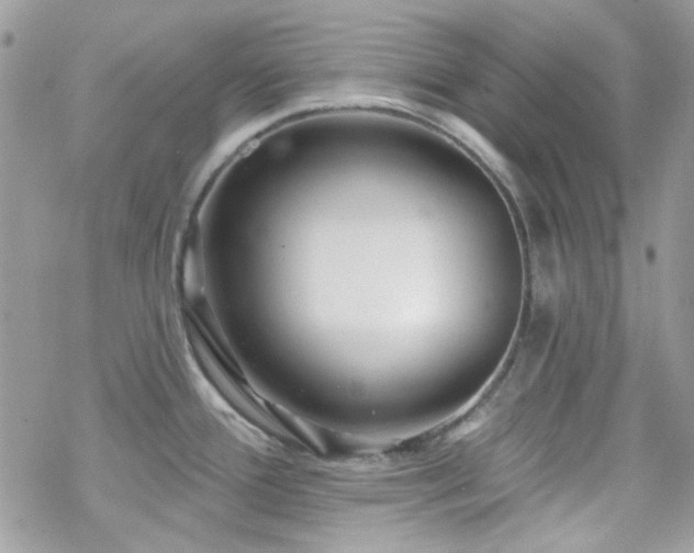 X0000070241388200606051114