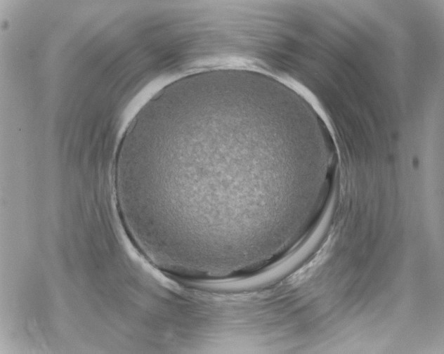 X0000070241389200606051114