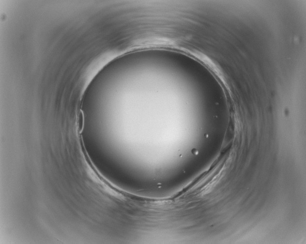 X0000070241390200606051114