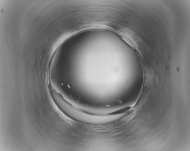 X0000070241391200606051114