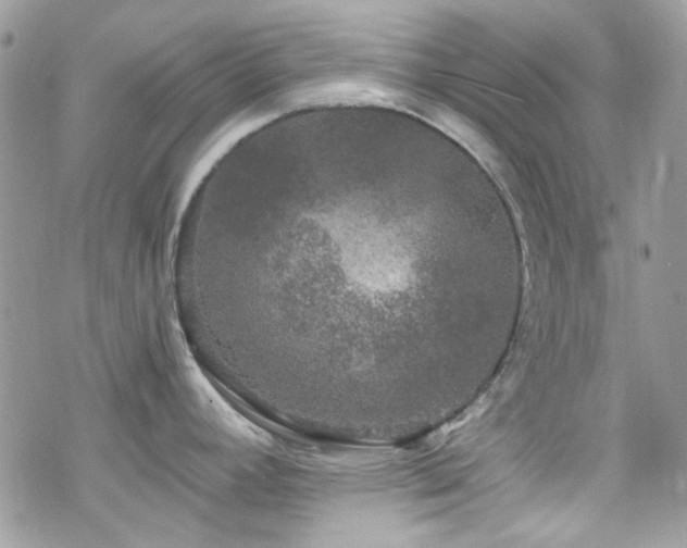 X0000070241392200606051114