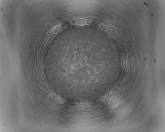 X0000070241393200606051113