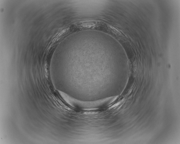 X0000070241394200606051113