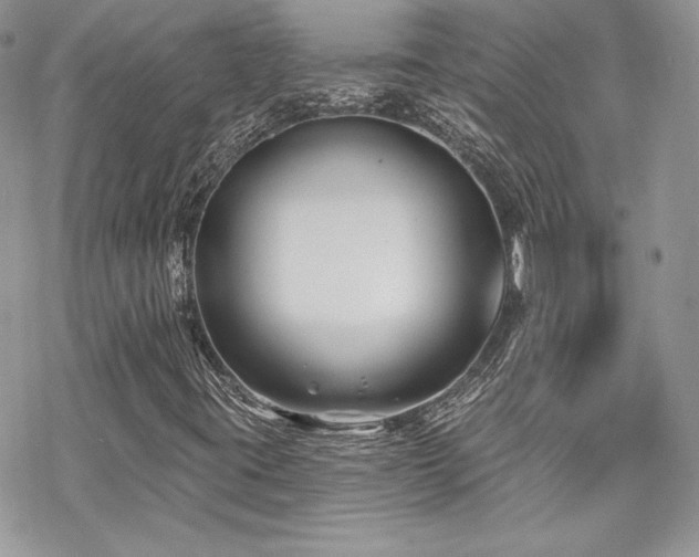 X0000070241395200606051113