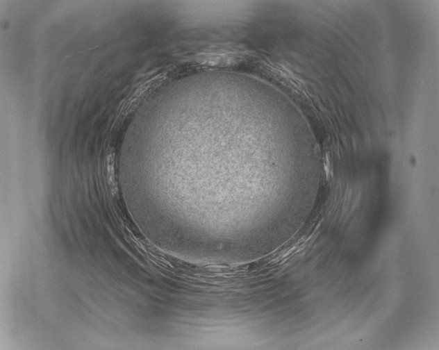 X0000070241396200606051113