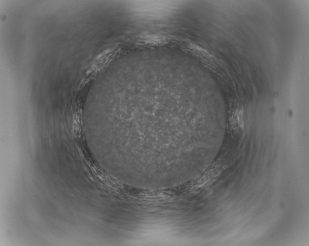 X0000070241397200606051113