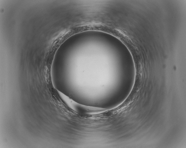 X0000070241398200606051113