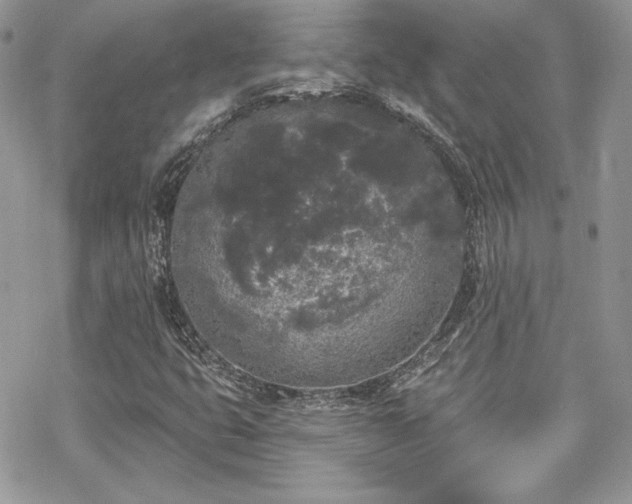 X0000070241399200606051113