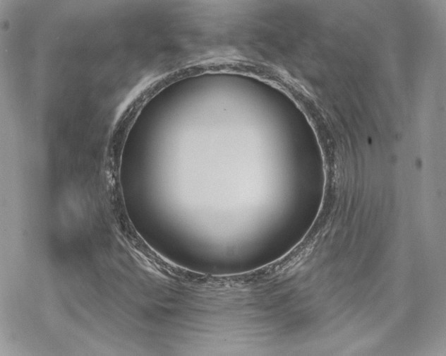 X0000070241400200606051113