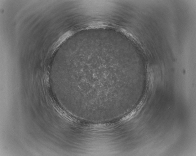 X0000070241401200606051113