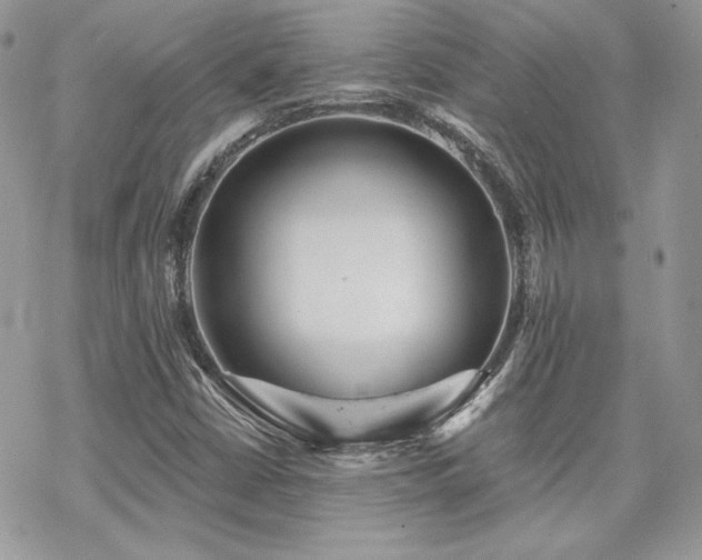 X0000070241402200606051113