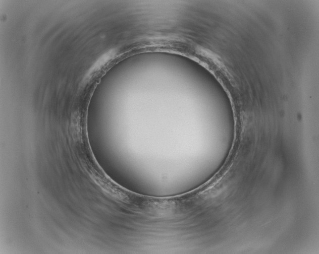 X0000070241403200606051113