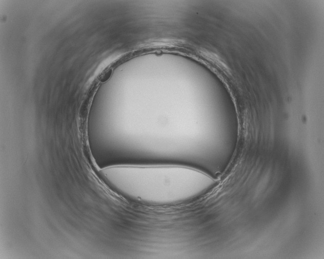 X0000070241404200606051113