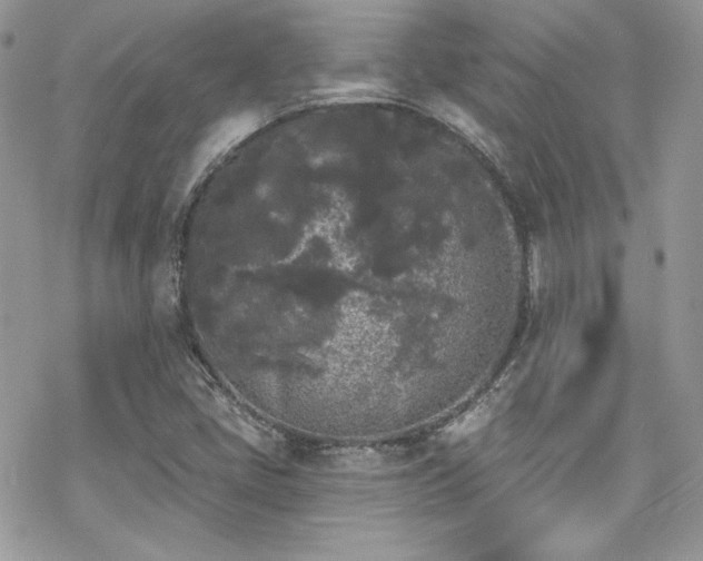 X0000070241405200606051113