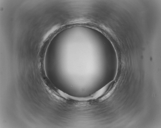 X0000070241406200606051113