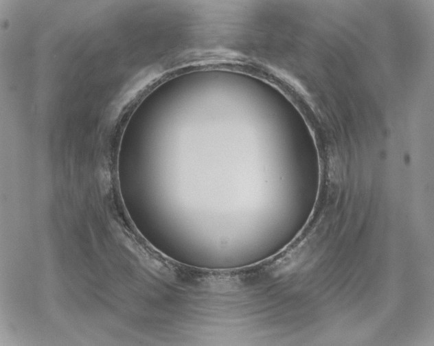 X0000070241407200606051113