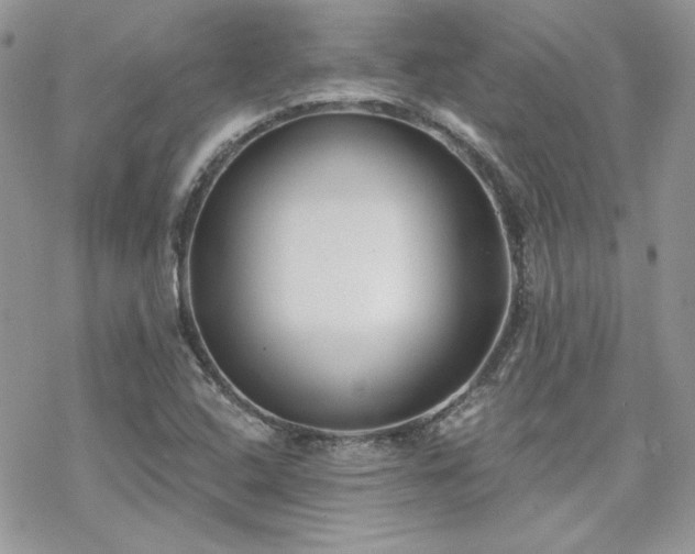 X0000070241408200606051113