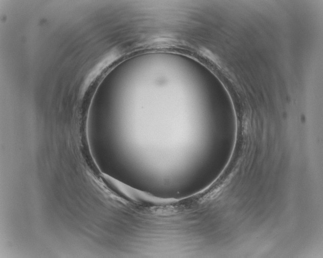 X0000070241410200606051113