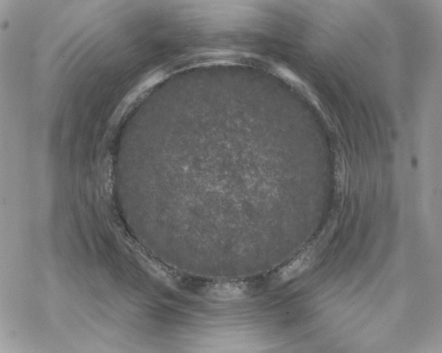 X0000070241411200606051113