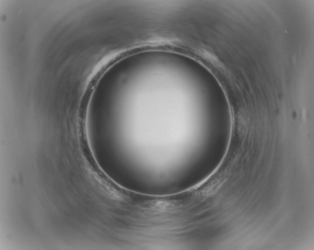 X0000070241412200606051113