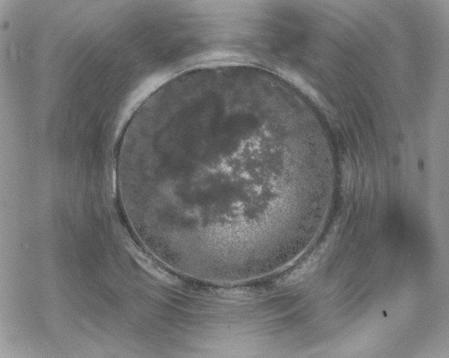 X0000070241413200606051113